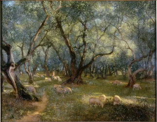 Oliven von St. Rocco